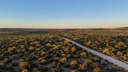 Land for sale in Coke County, Texas