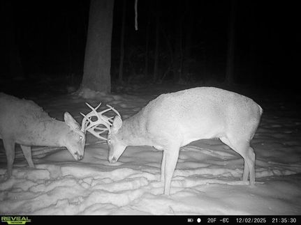 Recreational Property for sale in Cass County, Illinois