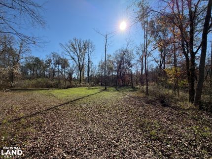 Land for sale in Crenshaw County, Alabama