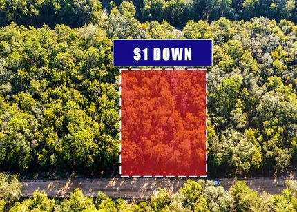 Homesite for sale in Putnam County, Florida