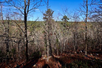 Undeveloped Land for sale in Le Flore County, Oklahoma