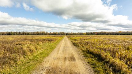 Land for sale in Forest County, Wisconsin