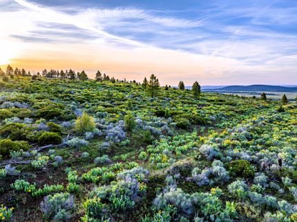 Recreational Property for sale in Modoc County, California