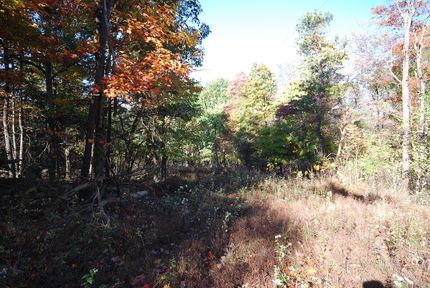 Undeveloped Land for sale in Morgan County, West Virginia