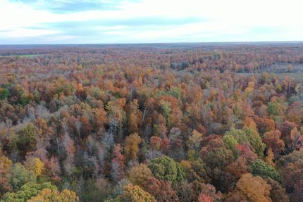 Hunting Property for sale in Ripley County, Missouri