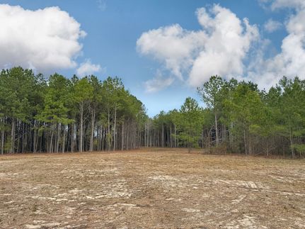 Land for sale in Florence County, South Carolina
