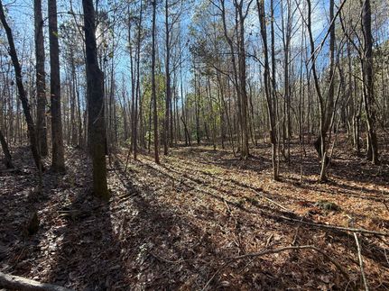 Land for sale in Coosa County, Alabama