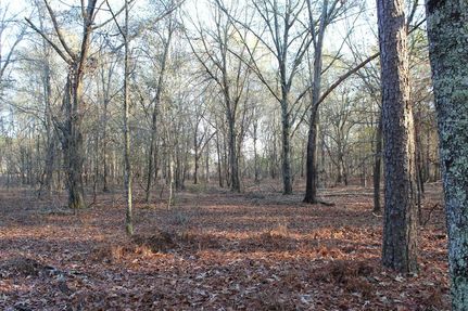 Farm and Ranch for sale in Laurens County, Georgia