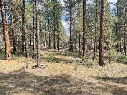 Land for sale in Klamath County, Oregon