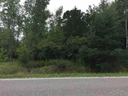 Land for sale in Midland County, Michigan