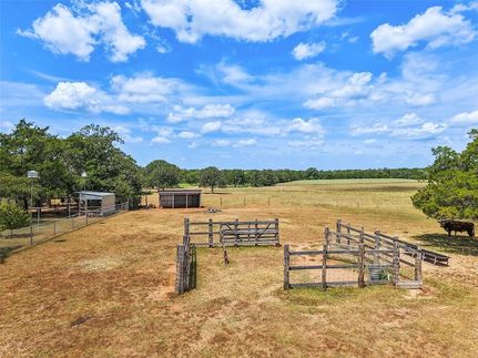 Land for sale in Bastrop County, Texas