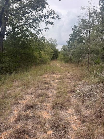 Land for sale in Bastrop County, Texas