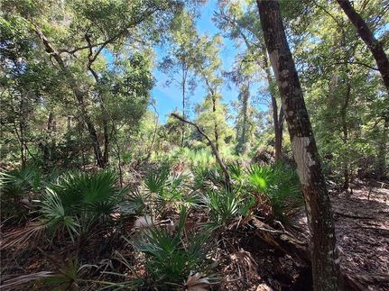 Land for sale in Levy County, Florida