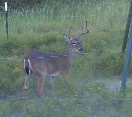 Land for sale in Hamilton County, Texas