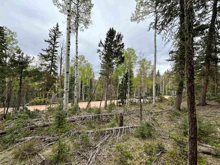 Undeveloped Land for sale in Colfax County, New Mexico