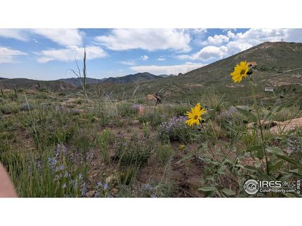 Land for sale in Larimer County, Colorado