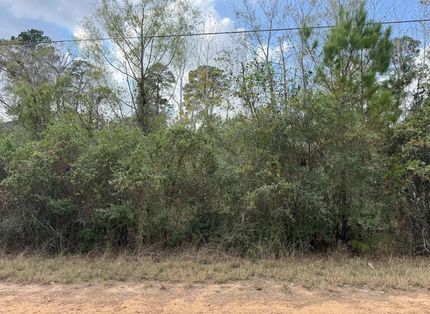 Land for sale in Bastrop County, Texas