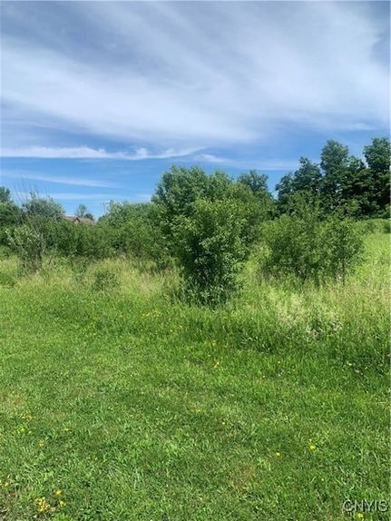 Land for sale in Oneida County, New York