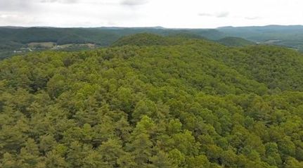 Undeveloped Land for sale in Mercer County, West Virginia
