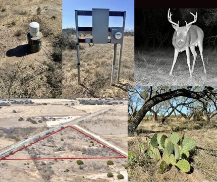 Land for sale in McCulloch County, Texas