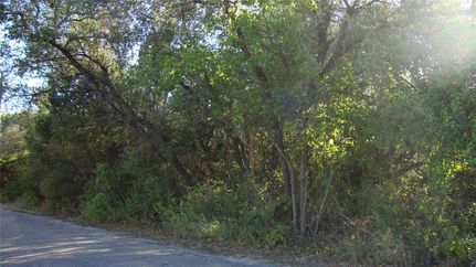 Land for sale in Travis County, Texas