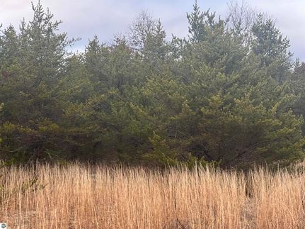 Timberland Property for sale in Lake County, Michigan