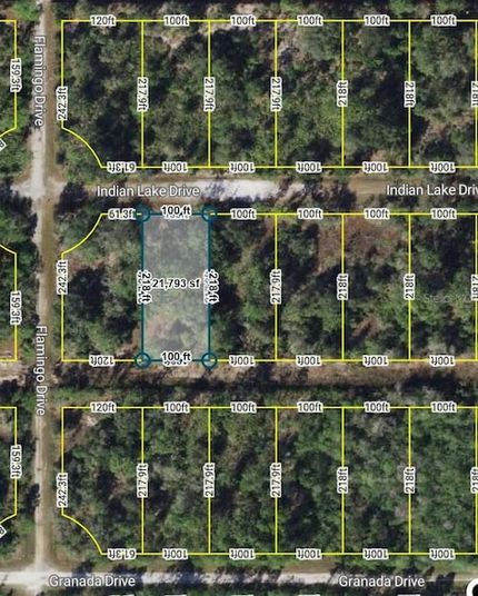 Undeveloped Land for sale in Polk County, Florida