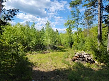 Undeveloped Land for sale in Knox County, Maine
