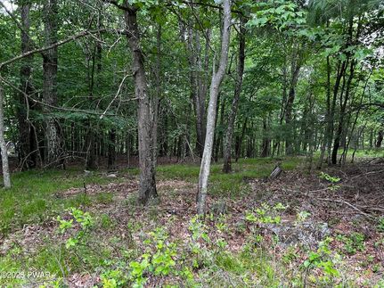 Timberland Property for sale in Pike County, Pennsylvania