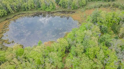 Horse Property for sale in Lake County, Michigan