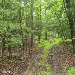 Undeveloped Land for sale in Clinton County, Pennsylvania