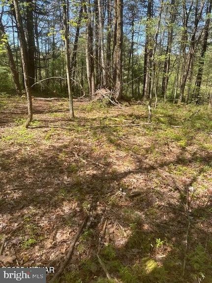 Homesite for sale in Clinton County, Pennsylvania