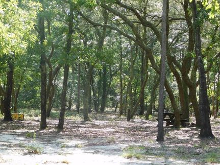 Undeveloped Land for sale in Tattnall County, Georgia