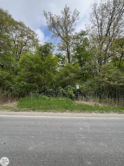 Land for sale in Saint Clair County, Michigan