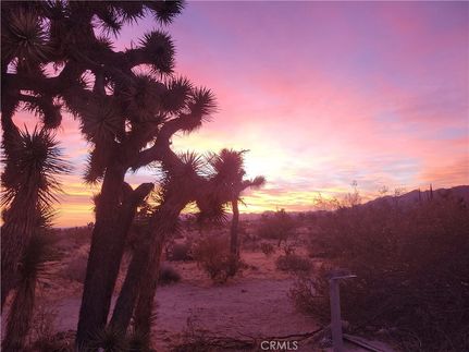 Timberland Property for sale in San Bernardino County, California