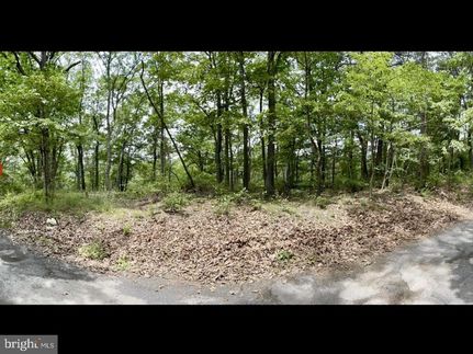Undeveloped Land for sale in Allegany County, Maryland