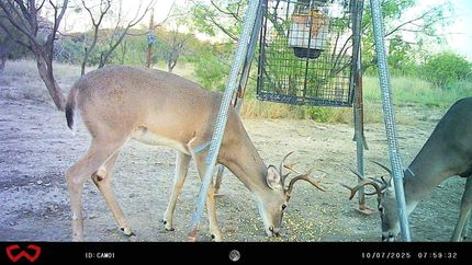 Recreational Property for sale in Brown County, Texas