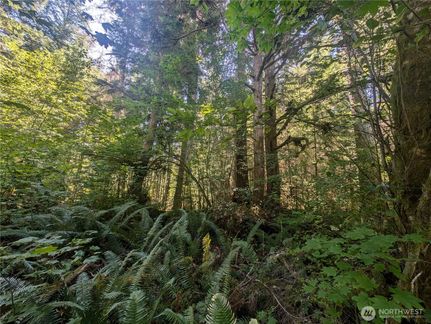 Land for sale in Clallam County, Washington