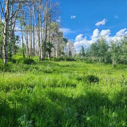 Land for sale in Mesa County, Colorado