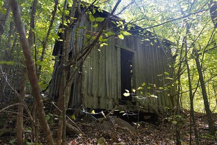 Land for sale in Lauderdale County, Alabama