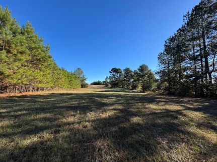 Undeveloped Land for sale in Fairfield County, South Carolina