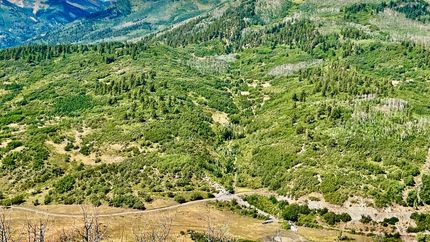 Undeveloped Land for sale in La Plata County, Colorado