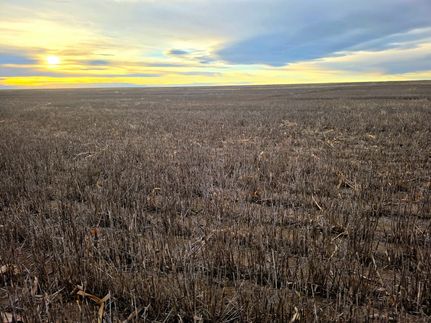 Land for sale in Yuma County, Colorado