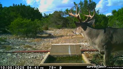 Land for sale in Edwards County, Texas