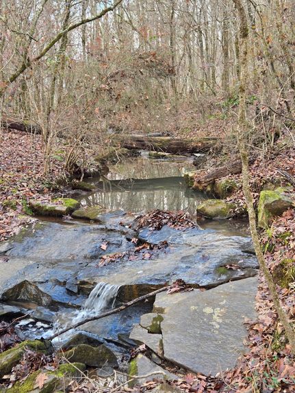 Land for sale in Putnam County, Georgia