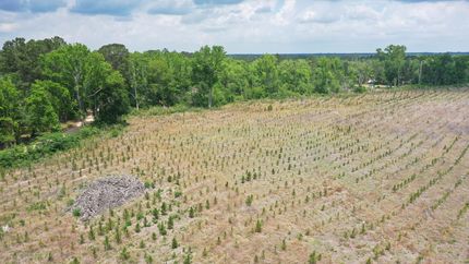 Land for sale in Bulloch County, Georgia