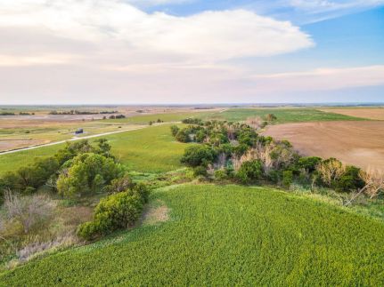 Undeveloped Land for sale in Rooks County, Kansas