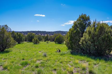 Homesite for sale in Coconino County, Arizona