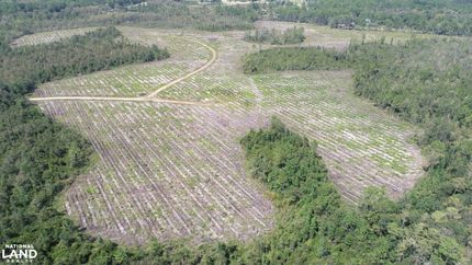 Land for sale in Liberty County, Georgia