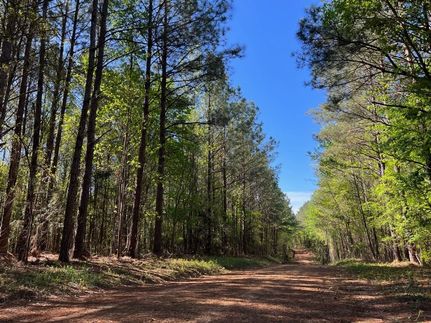 Land for sale in Tuscaloosa County, Alabama